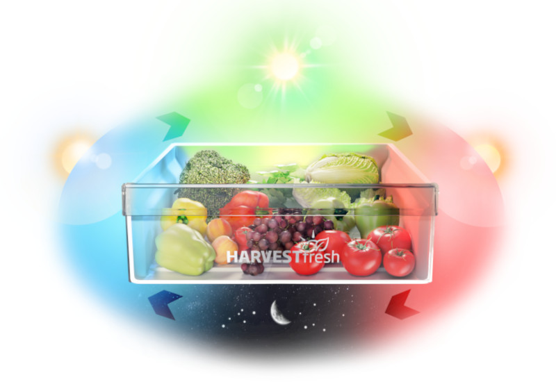 HarvestFresh™ Protects the Immunity-Boosting Vitamins in Fruit and Veg