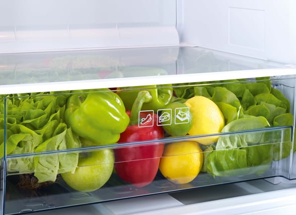 Large Salad Crisper