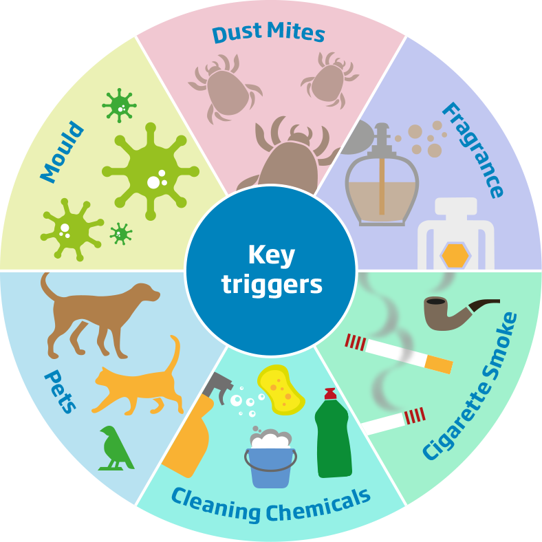 Common household asthma triggers