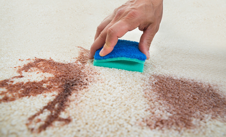 removing stain from cream carpet